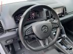 Škoda Karoq - fotka číslo 10