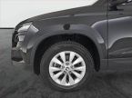 Škoda Karoq - fotka číslo 14