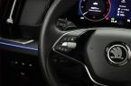Škoda Kodiaq - fotka číslo 16