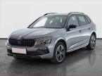 Škoda Kamiq - fotka číslo 1