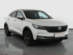 Dongfeng Fengon 5 - fotka číslo 0