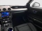 Ford Mustang - fotka číslo 7