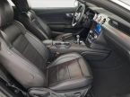 Ford Mustang - fotka číslo 8