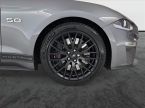 Ford Mustang - fotka číslo 14
