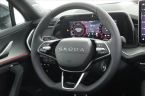 Škoda Kodiaq - fotka číslo 21