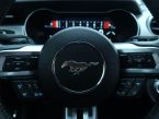 Ford Mustang - fotka číslo 13
