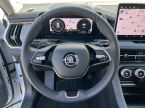 Škoda Kodiaq - fotka číslo 12