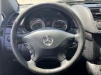 Mercedes Viano - fotka číslo 18