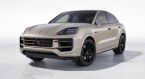 Porsche Cayenne - fotka číslo 0