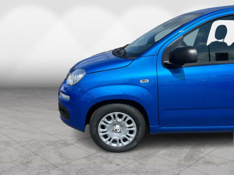 Fiat Panda - hlavní fotka