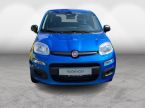 Fiat Panda - fotka číslo 2