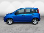 Fiat Panda - fotka číslo 3