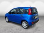 Fiat Panda - fotka číslo 5