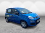 Fiat Panda - fotka číslo 8