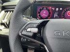 Škoda Kodiaq - fotka číslo 14