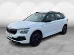 Škoda Kamiq - fotka číslo 0