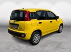Fiat Panda - fotka číslo 1