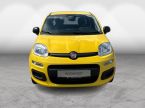 Fiat Panda - fotka číslo 2