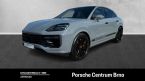 Porsche Cayenne - fotka číslo 0