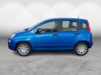 Fiat Panda - fotka číslo 2