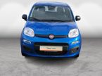 Fiat Panda - fotka číslo 3
