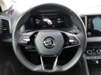 Škoda Karoq - fotka číslo 17
