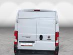 Fiat Ducato - fotka číslo 8