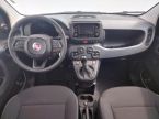 Fiat Panda - fotka číslo 4