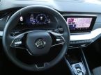 Škoda Octavia - fotka číslo 16