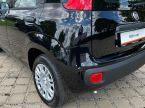 Fiat Panda - fotka číslo 16