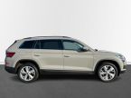 Škoda Kodiaq - fotka číslo 6