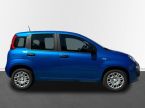 Fiat Panda - fotka číslo 6