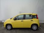 Fiat Panda - fotka číslo 2