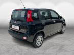 Fiat Panda - fotka číslo 1