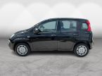 Fiat Panda - fotka číslo 3