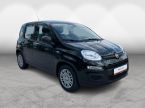 Fiat Panda - fotka číslo 8