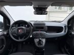 Fiat Panda - fotka číslo 4