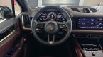 Porsche Cayenne - fotka číslo 19