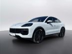 Porsche Cayenne - fotka číslo 0