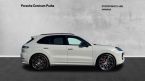Porsche Cayenne - fotka číslo 4