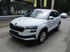 Škoda Karoq - fotka číslo 0