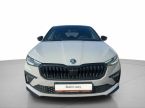 Škoda Scala - fotka číslo 3