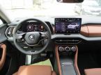 Škoda Kodiaq - fotka číslo 11