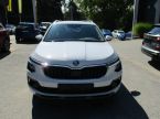 Škoda Kamiq - fotka číslo 1