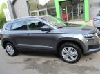 Škoda Karoq - fotka číslo 3
