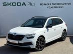 Škoda Kamiq - fotka číslo 0