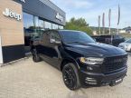 RAM 1500 - fotka číslo 0