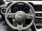 Alfa Romeo Stelvio - fotka číslo 10