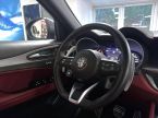 Alfa Romeo Stelvio - fotka číslo 15