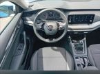 Škoda Octavia - fotka číslo 5
